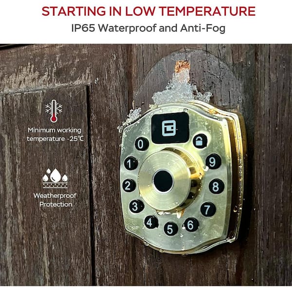 5 in 1 Aluminum Smart Lock Deadbolt with App Biometric, IC Card, Keyless Entry Door Lock with Keypad in Gold