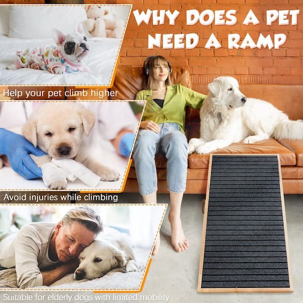 are ramps or stairs better for dogs