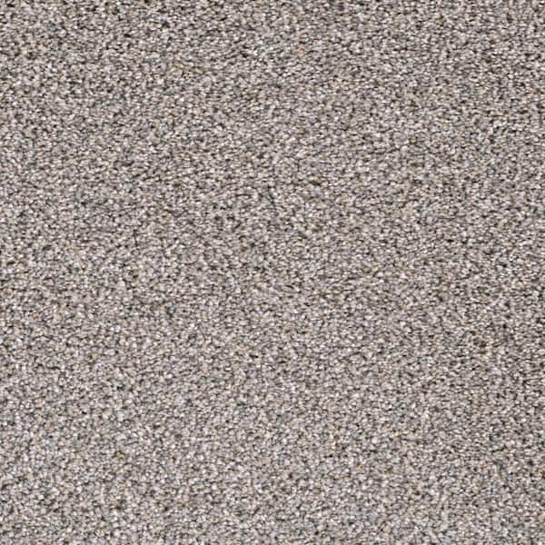 Home Decorators Collection 8 in. x  8 in. Texture Carpet Sample - Affectionate I -Color Trance