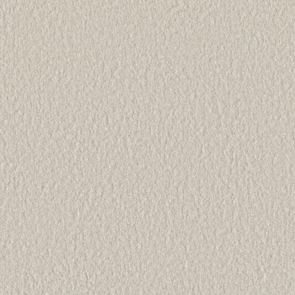 Blissful III - Elated White - 75 oz. SD Polyester Texture Carpet - Installation Required