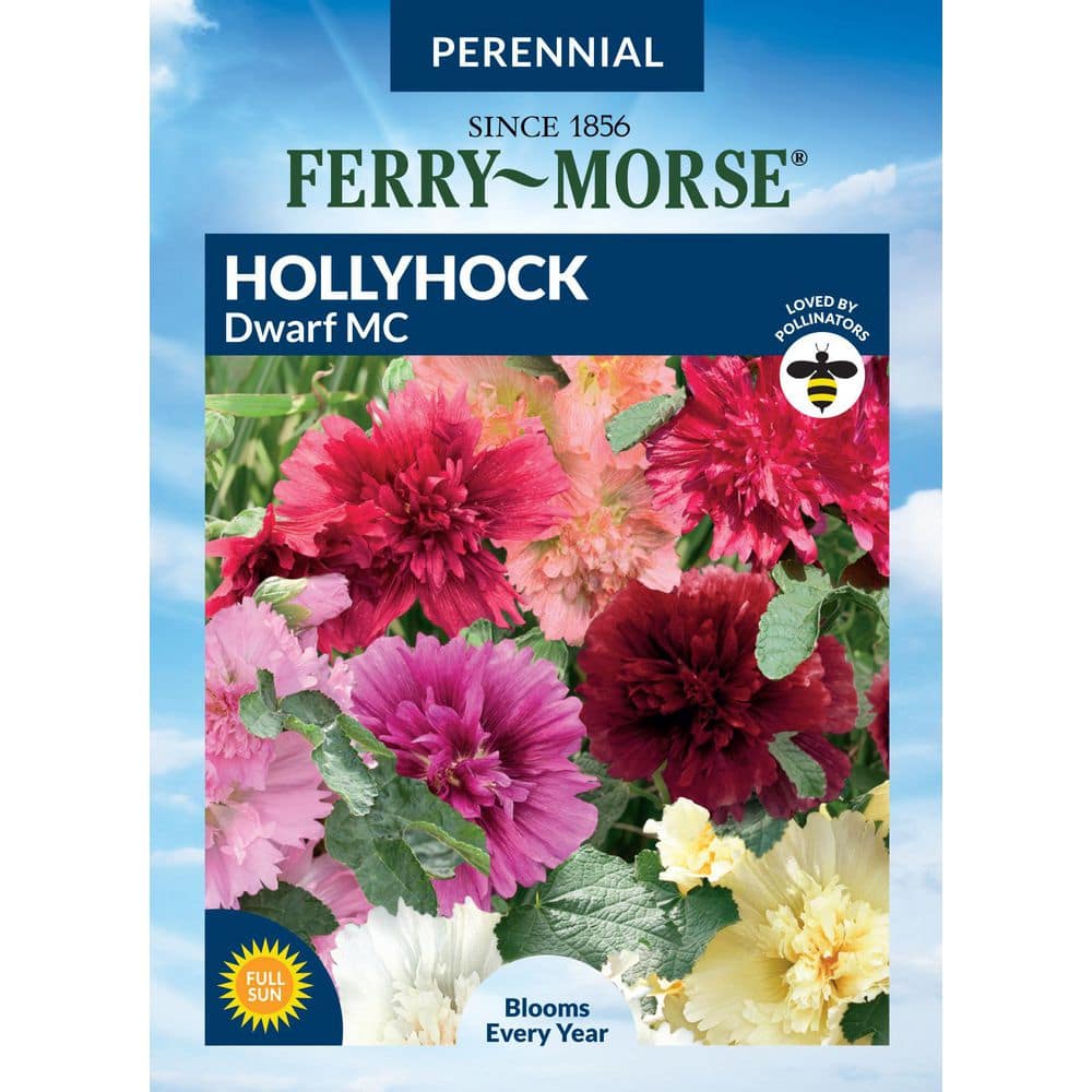 Ferry-Morse Hollyhock Dwarf Mixed Colors Flower Seeds 1750 - The