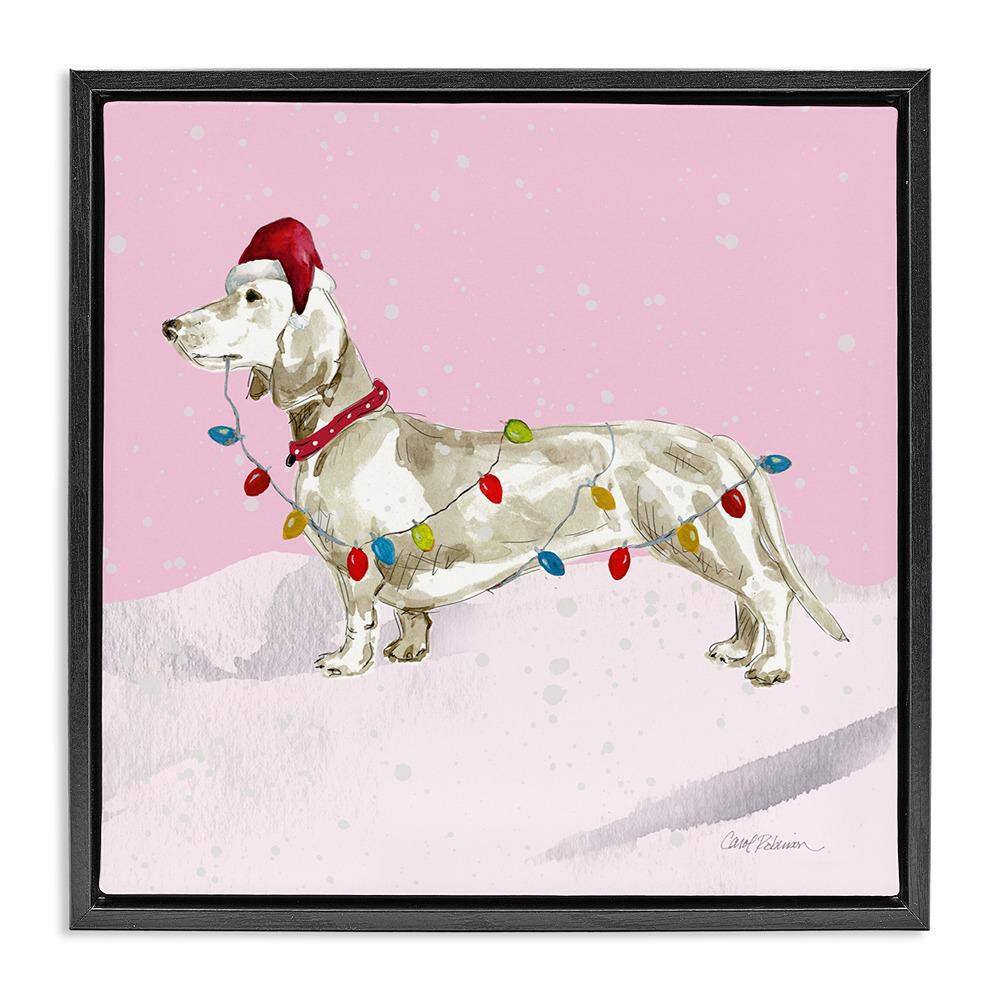 Christmas Lights Dachshund by Carol Robinson 1-Piece Black Floater Frame Graphic Animal Art Print 18 in. x 18 in. price history on PriceWatchPro