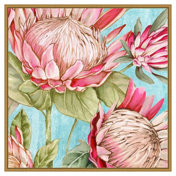 Amanti Art Popping King Protea I by Alex Black 1 Piece Floater Frame Canvas Giclee Nature Art Print 30 in. x 30 in.