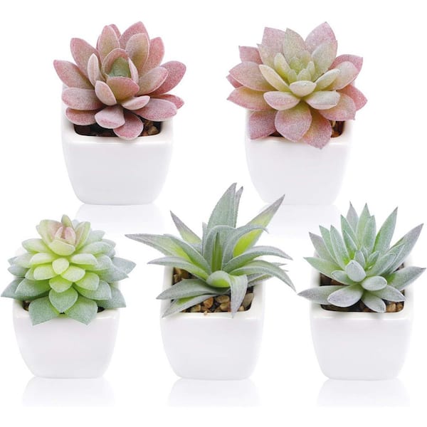 Unbranded 2.8 in. Multi-Colored Indoor Artificial Succulent Plants in White Pot (Set of 5)