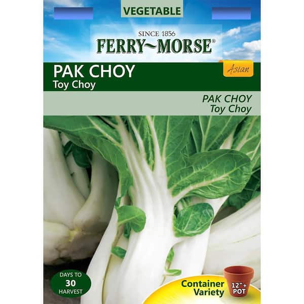 Ferry-Morse Pak Choy Toy Choy Asian Seed
