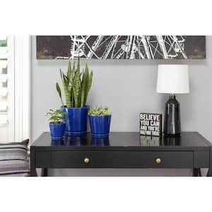 4 in. Blue Knack Ceramic Planter (Pack of 2)