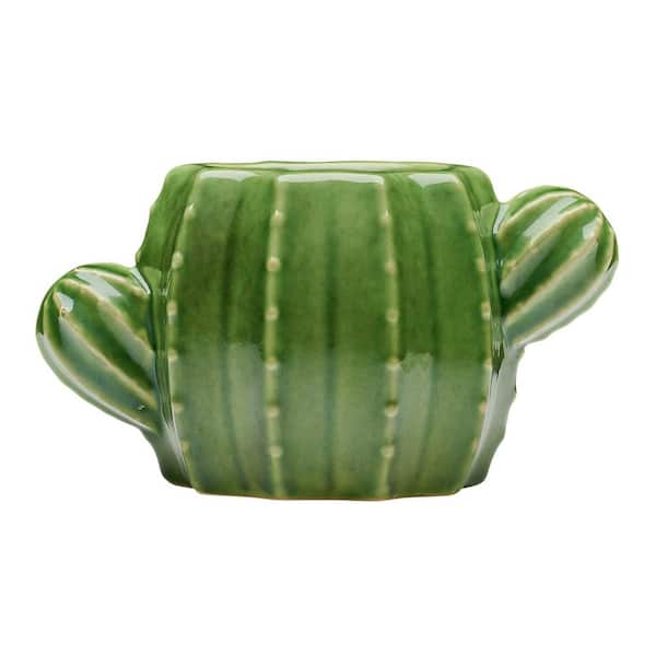Vigoro 6.7 in. Raker Cactus Small Green Ceramic Pot (6.7 in. D x 3.7 in. H)  With Drainage Hole CRM-094258 - The Home Depot