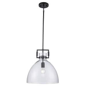 Briar 14 in. 1-Light Black Pendant Light Fixture with Clear Glass Dome Shade