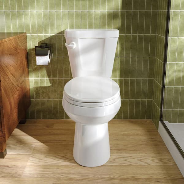 HOROW ADA Elongated Map 1000G Dual Flush One Piece Toilets For Bathrooms  Comfort Height 