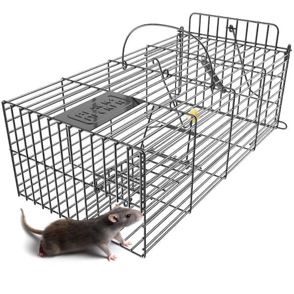 Blackdecker Rodent Catch And Release Cage Trap For Mice Squirrels Chipmunks And Other Rodents 1158