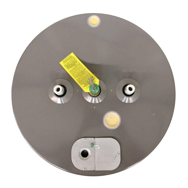 Performance Platinum 50 gal. Tall 12 Year 4500/4500-Watt Elements Electric Water Heater