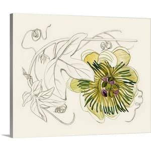 Passionflower II'' by Melissa Wang One Piece Museum Grade Giclee Unframed Nature Art Print 30 in. x 24 in. .