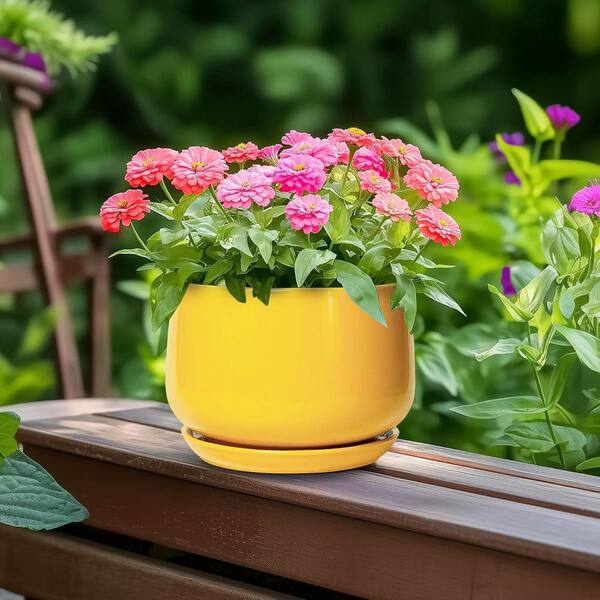 Samll Yellow Ceramic Indoor/Outdoor Planter with Saucer (5.9 in. W