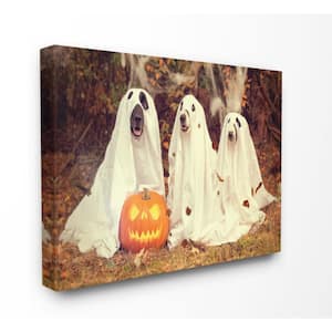 24 in. x 30 in. "Vintage Photography Halloween Pumpkin And Ghost Dogs" by Daphne Polselli Canvas Wall Art