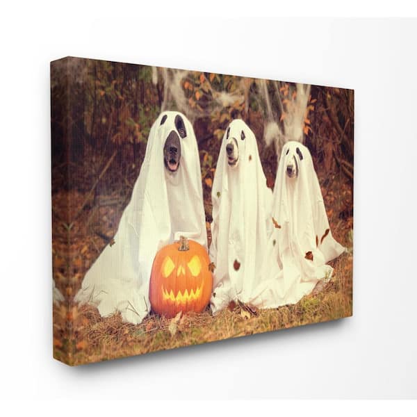 Stupell Industries 24 in. x 30 in. "Vintage Photography Halloween Pumpkin And Ghost Dogs" by Daphne Polselli Canvas Wall Art