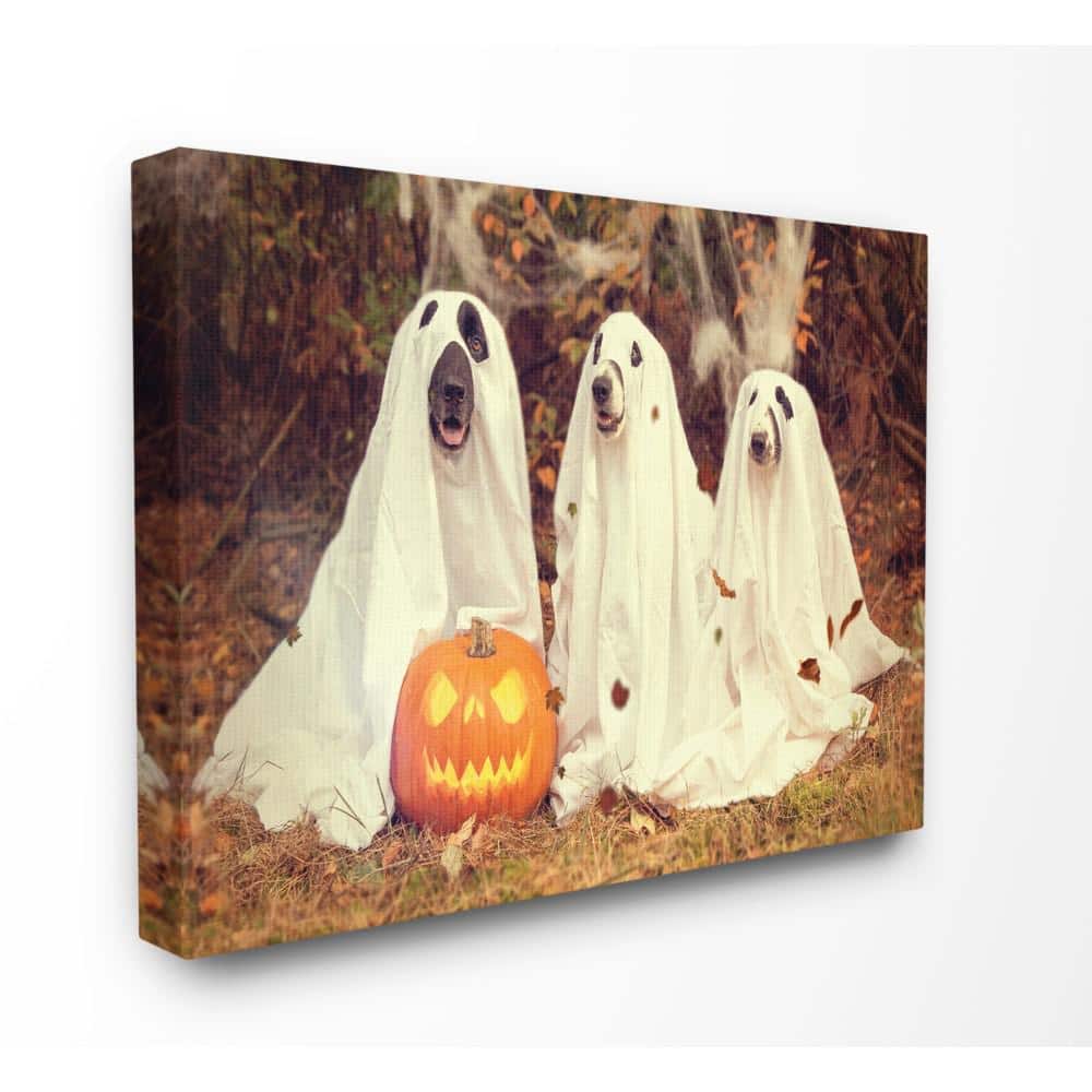 30 in. x 40 in. Vintage Photography Halloween Pumpkin And Ghost Dogs b