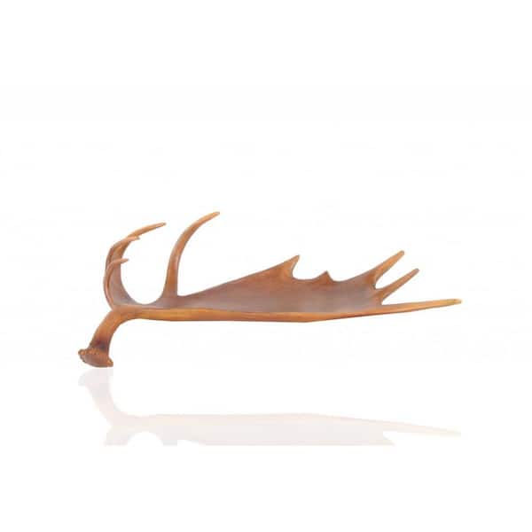 HomeRoots Brown Irregular Resin 12 in. Decorative Serving Tray