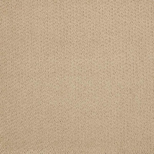 Katama II  - Carved Wood - Beige 30.7 oz. Triexta Pattern Installed Carpet