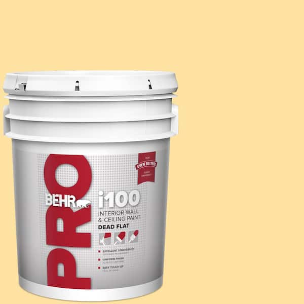 5 gal. #P280-3 Polka Dot Skirt Dead Flat Interior Paint