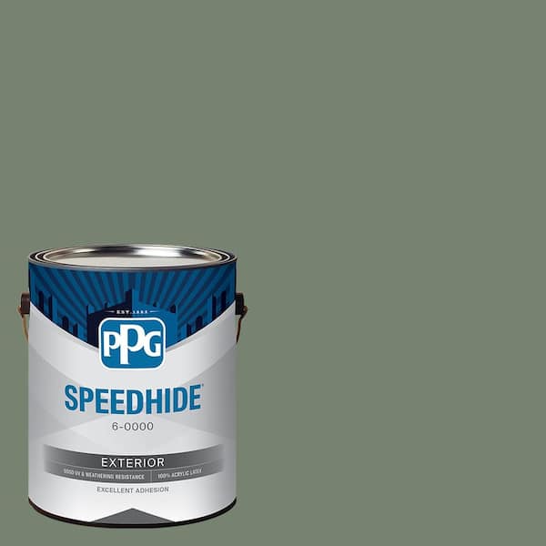 1 gal. PPG1129-6 Lottery Winnings Flat Exterior Paint