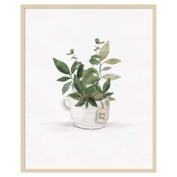 Amanti Art Botanical Mug I by Hm Design 33 in. W x 41 in. H. Wood Framed Wall Art Print Framed in Brown