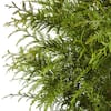 Unbranded 7 Gal. Green Giant Arborvitae (Thuja) Live Evergreen Shrub 15601