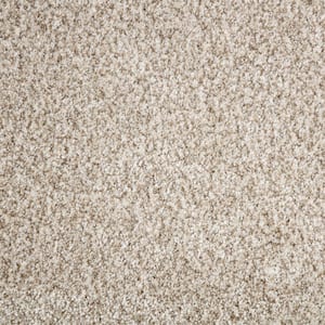 Trendy Threads Plus I - Bonanza Gold - 40 oz. SD Polyester Texture Installed Carpet