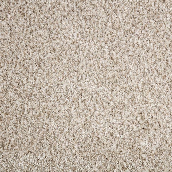 Home Decorators Collection Trendy Threads Plus I - Bonanza - Gold 40 oz. SD Polyester Texture Installed Carpet