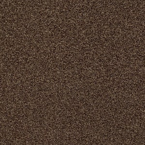 Karma I - Leather - Brown 41.2 oz. Nylon Texture Installed Carpet
