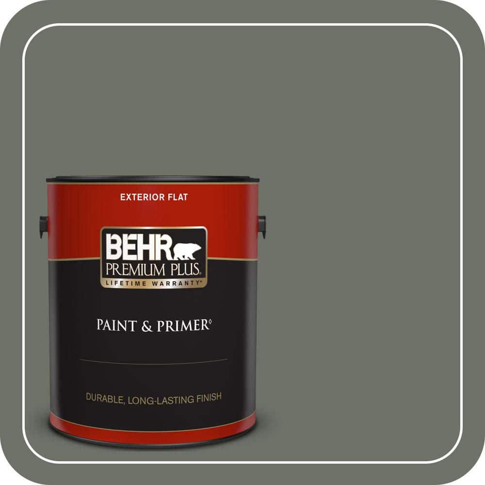 1 gal. #ECC-41-3 Laurel Oak Flat Exterior Paint & Primer price history on PriceWatchPro