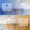 ceiling-fans-with-lights-zt-w882p146902-c3.1