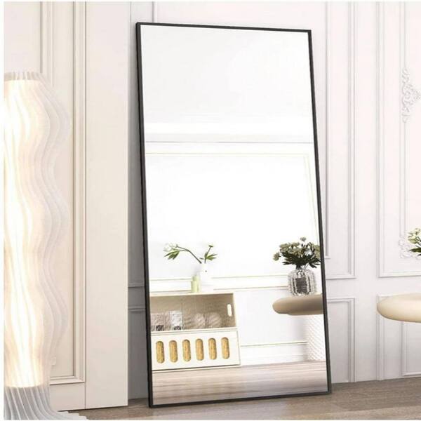 HOMLUX Black Frame 18 in. W x 58 in. H Rectangular Metal Full