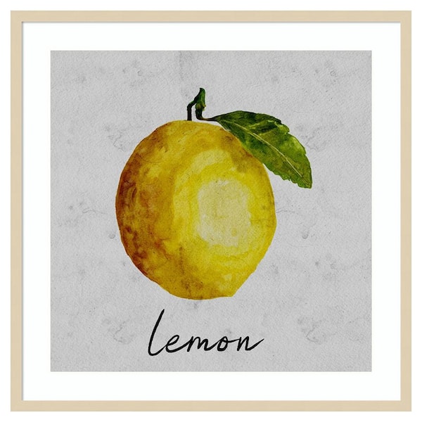 Amanti Art Summertime Citrus II by Regina Moore 33 in. W x 33 in. H. Wood Framed Wall Art Print Framed in Brown