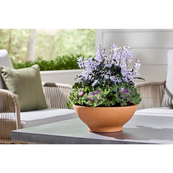 Medium Terracotta Low Bowl Planter with Drainage Hole (13 in. L x 13 in. W x 5 in. H)