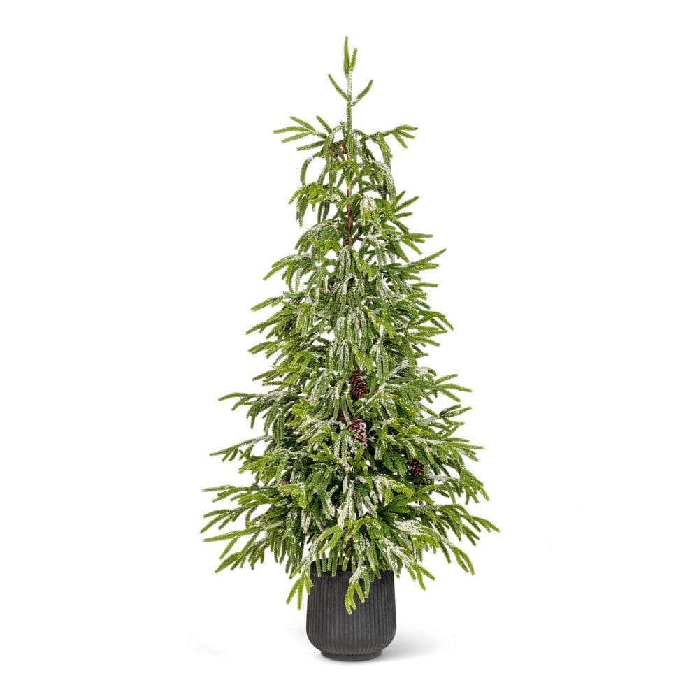 3 ft. Christmas Unlit Artificial Frosted Norfolk Pine Porch Tree with Pinecones price history on PriceWatchPro