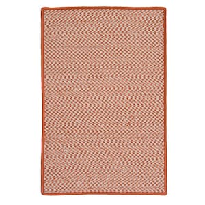 Sadie Tangerine  Doormat 2 ft. x 3 ft. Indoor/Outdoor Patio Braided Area Rug