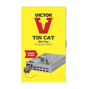 Tin Cat Mouse Trap Solid Top