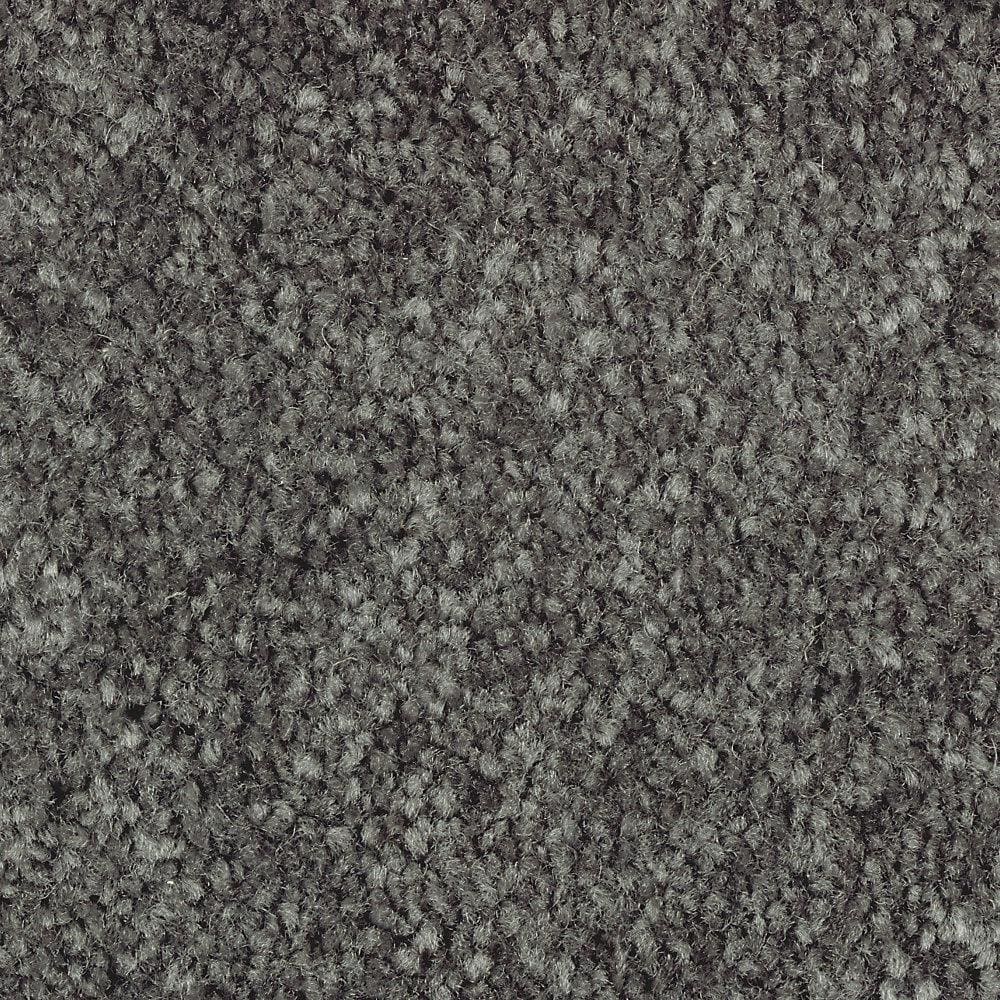 8 in. x 8 in. Texture Carpet Sample - Mason I -Color Aspen price history on PriceWatchPro
