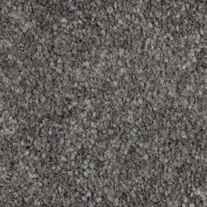 8 in. x 8 in. Texture Carpet Sample - Mason I -Color Aspen