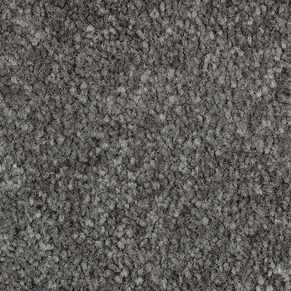 Lifeproof 8 in. x 8 in. Texture Carpet Sample - Mason II -Color Aspen