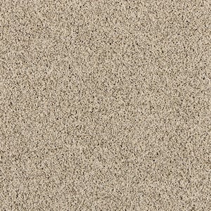 Radiant Retreat III Dune Brown 73 oz. Polyester Textured Installed Carpet