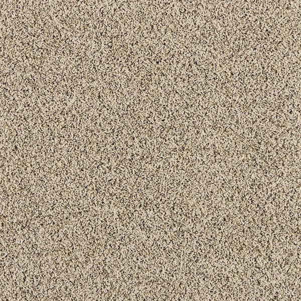 Home Decorators Collection Radiant Retreat III Dune Brown 73 oz. Polyester Textured Installed Carpet