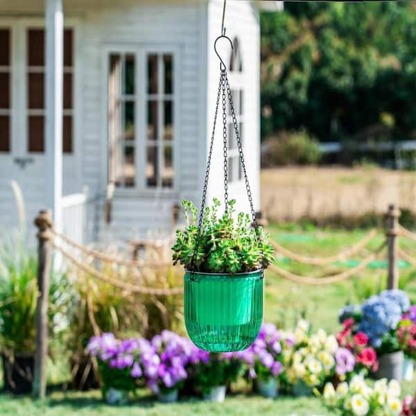 air plant holder ideas Gray Ceramic Stone Plant Holder with Asst. Tillandsia Plants  Air Plant  Shop