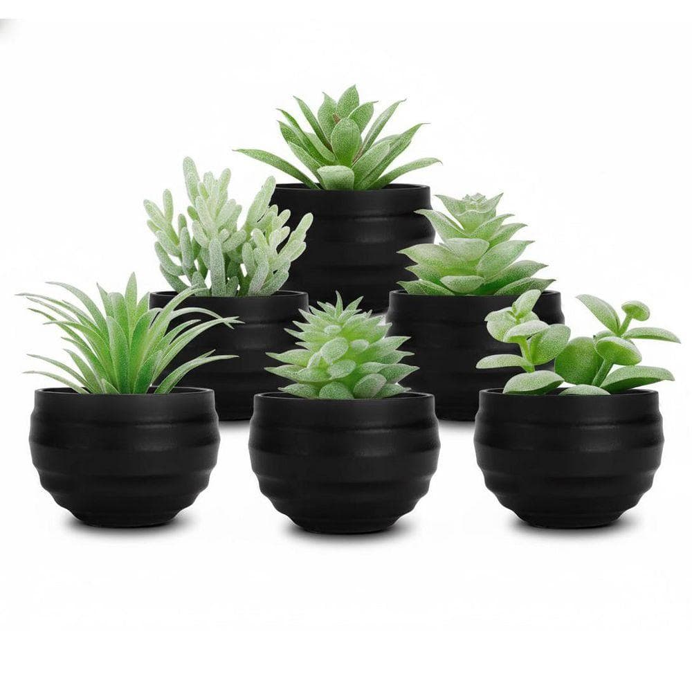 3.14 in. 6-Piece Artificial Succulents in Pots - Small Fake Plants for  Halloween and Home/Office Decor ENHD10784 - The Home Depot