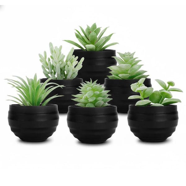 Unbranded 3.14 in. 6-Piece Artificial Succulents in Pots - Small Fake  Plants for Halloween and Home/Office Decor ENHD10784