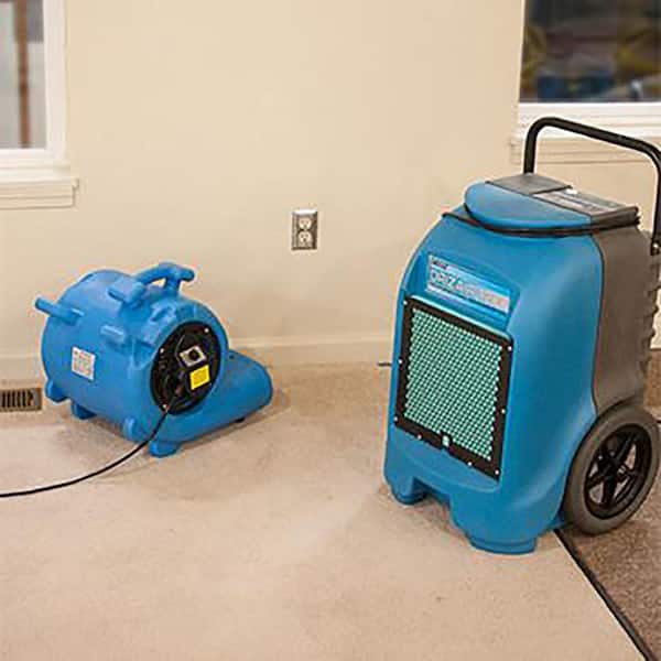DRI-EAZ Carpet Blower Rental F514 - The Home Depot