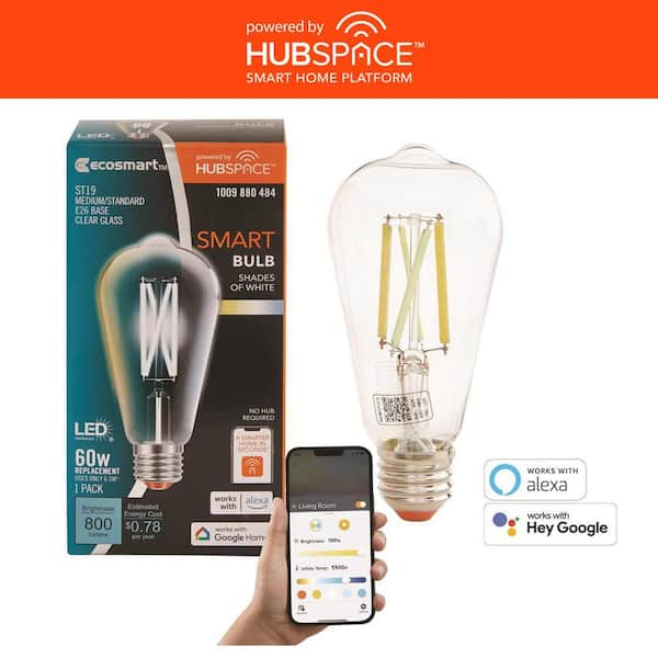 60-Watt Equivalent Smart ST19 Clear Tunable White CEC LED Light Bulb with Voice Control (1-Bulb) Powered by Hubspace