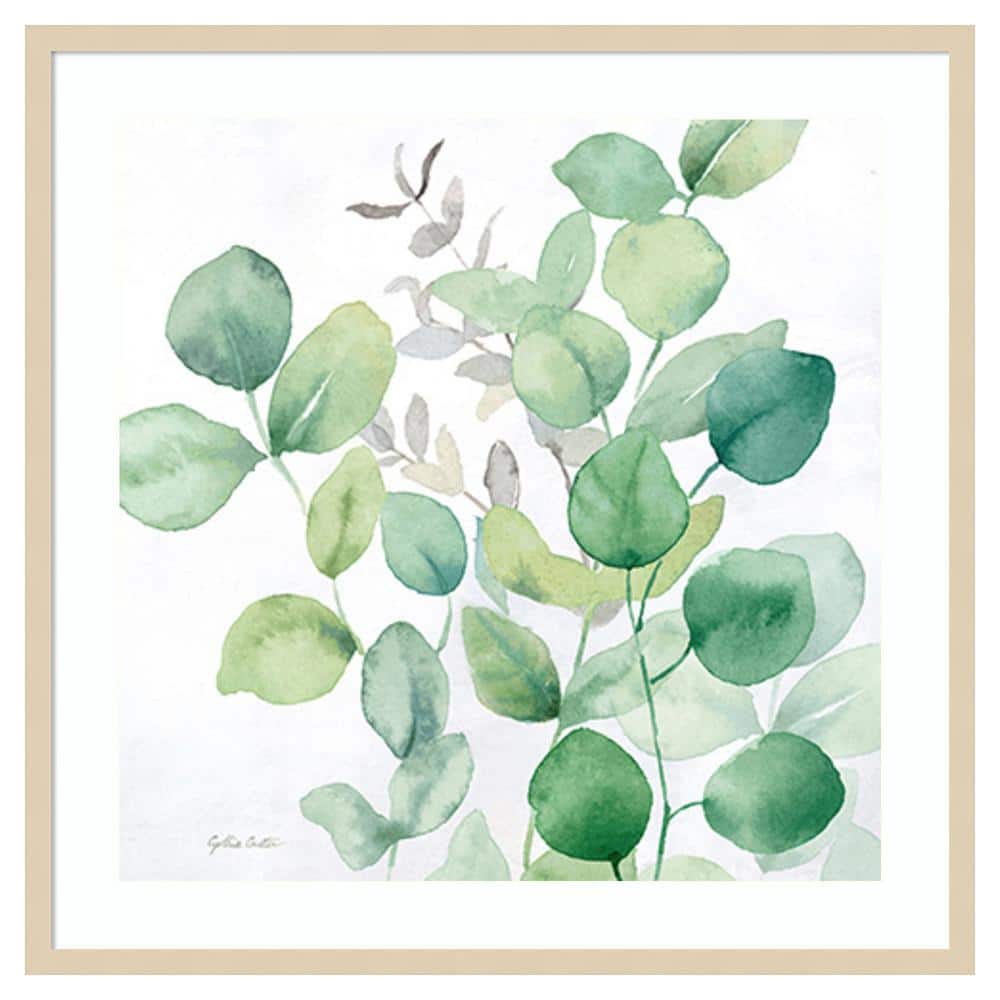 Eucalyptus Leaves I by Cynthia Coulter 33 in. W x 33 in. H. Wood Framed Wall Art Print Framed in Brown price history on PriceWatchPro