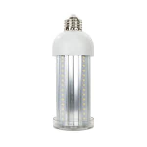 2500 Lumen LED Cob Bulb E26 5K 25-Watt 1 Bulb