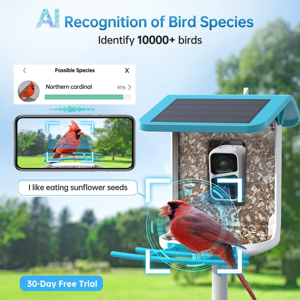 Blue and White Plastic Smart Bird Feeder with Camera